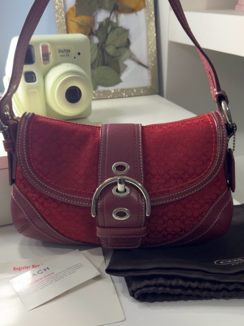 vintage coach bag